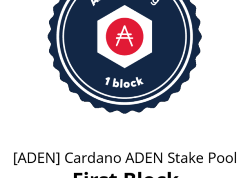 ADAPools_Awards_1st_block ADAPools_Awards_1st_block